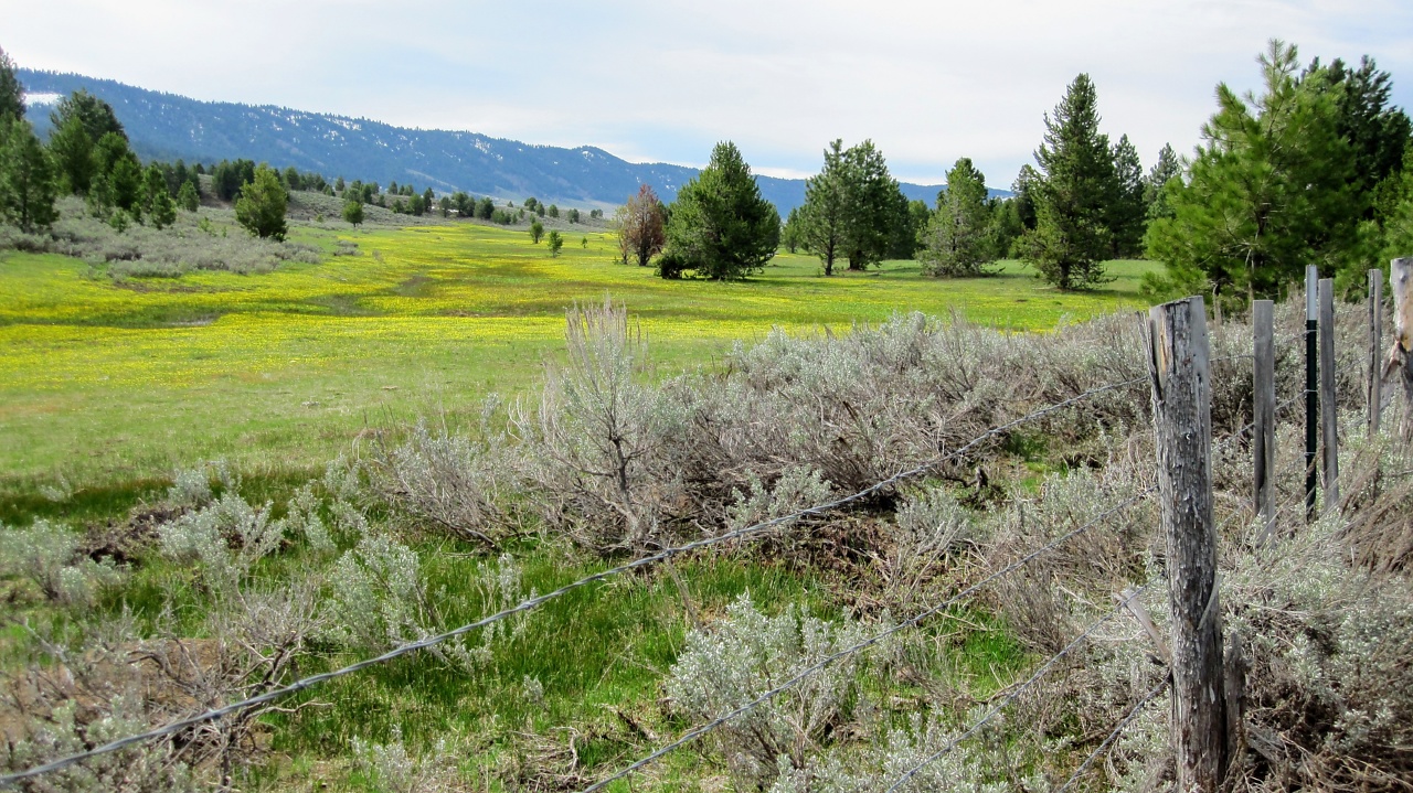 Single Outdoor Loving Ochlophobist