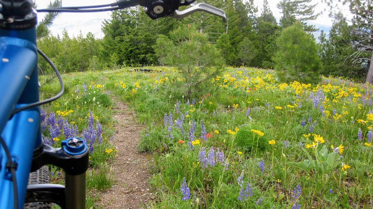 Single Outdoor Loving Ochlophobist