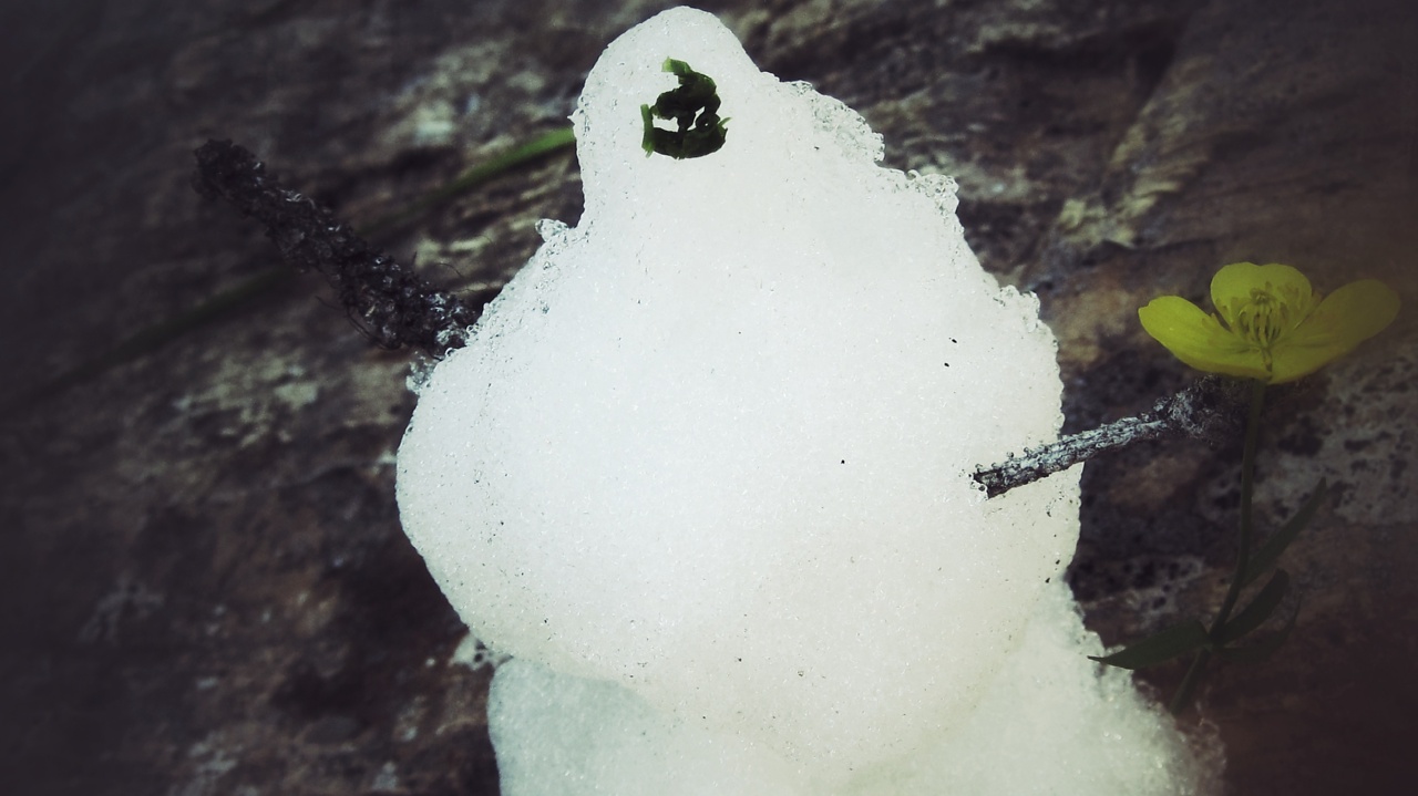 Necklace Lake Backpack