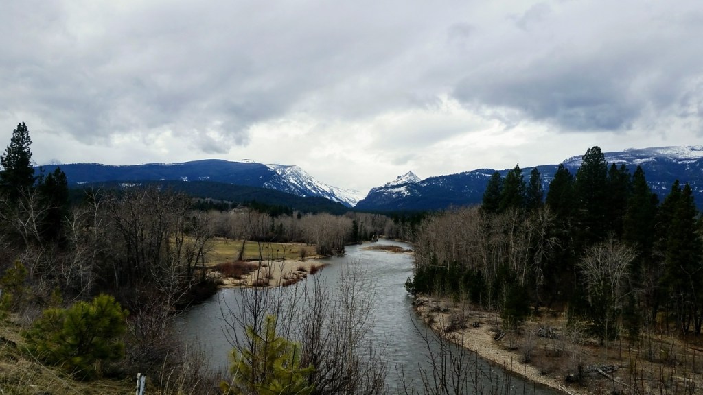 Back From the Root with Something&nbsp;New