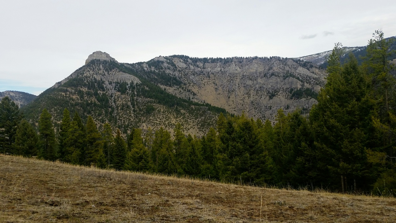Garnet Mountain Fire Lookout Adventure