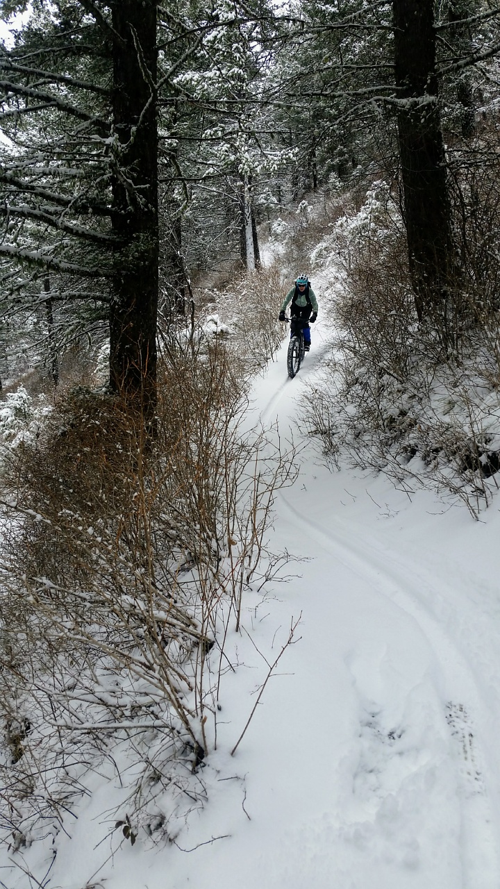 Garnet Mountain Fire Lookout Adventure
