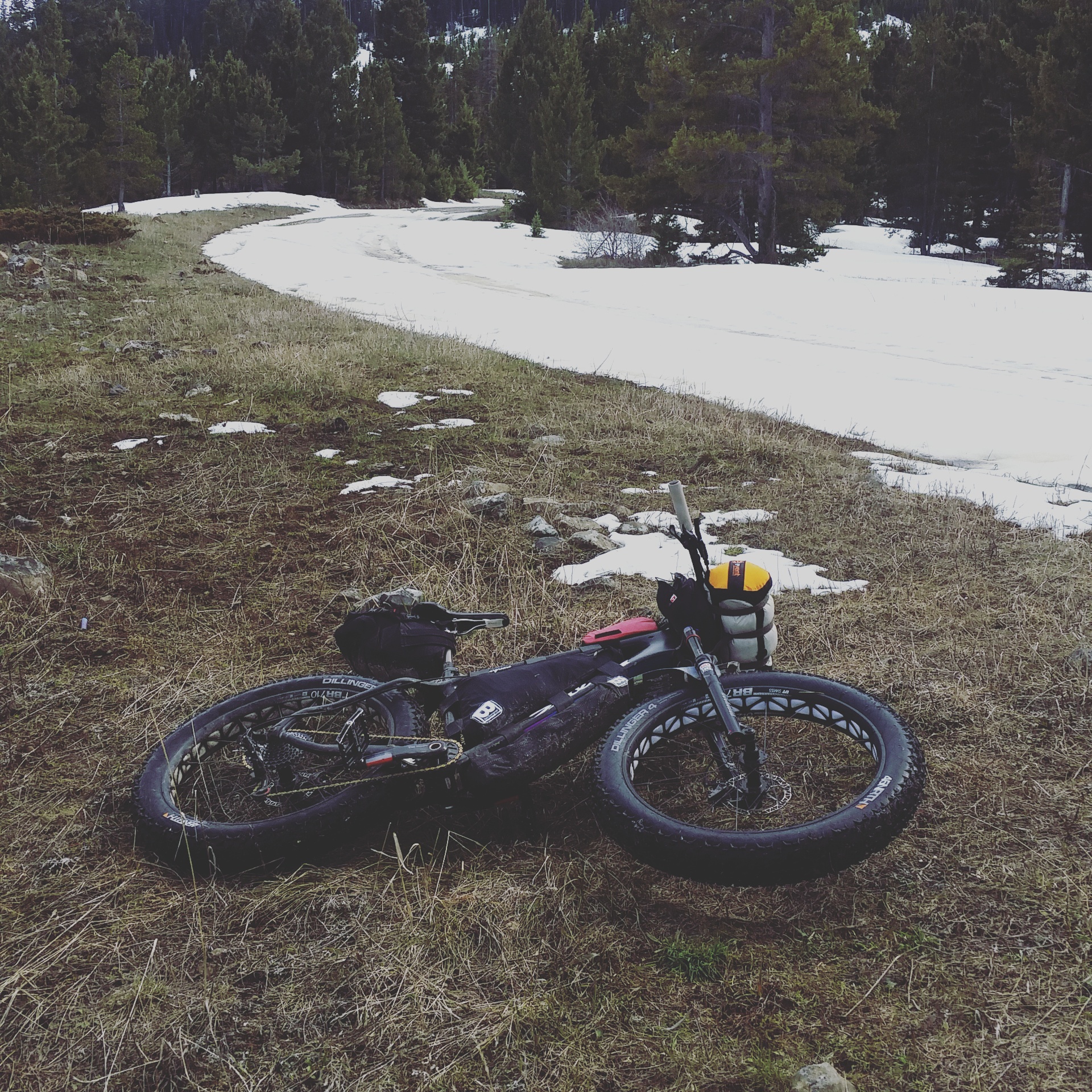 IMG_20170506_154606_142