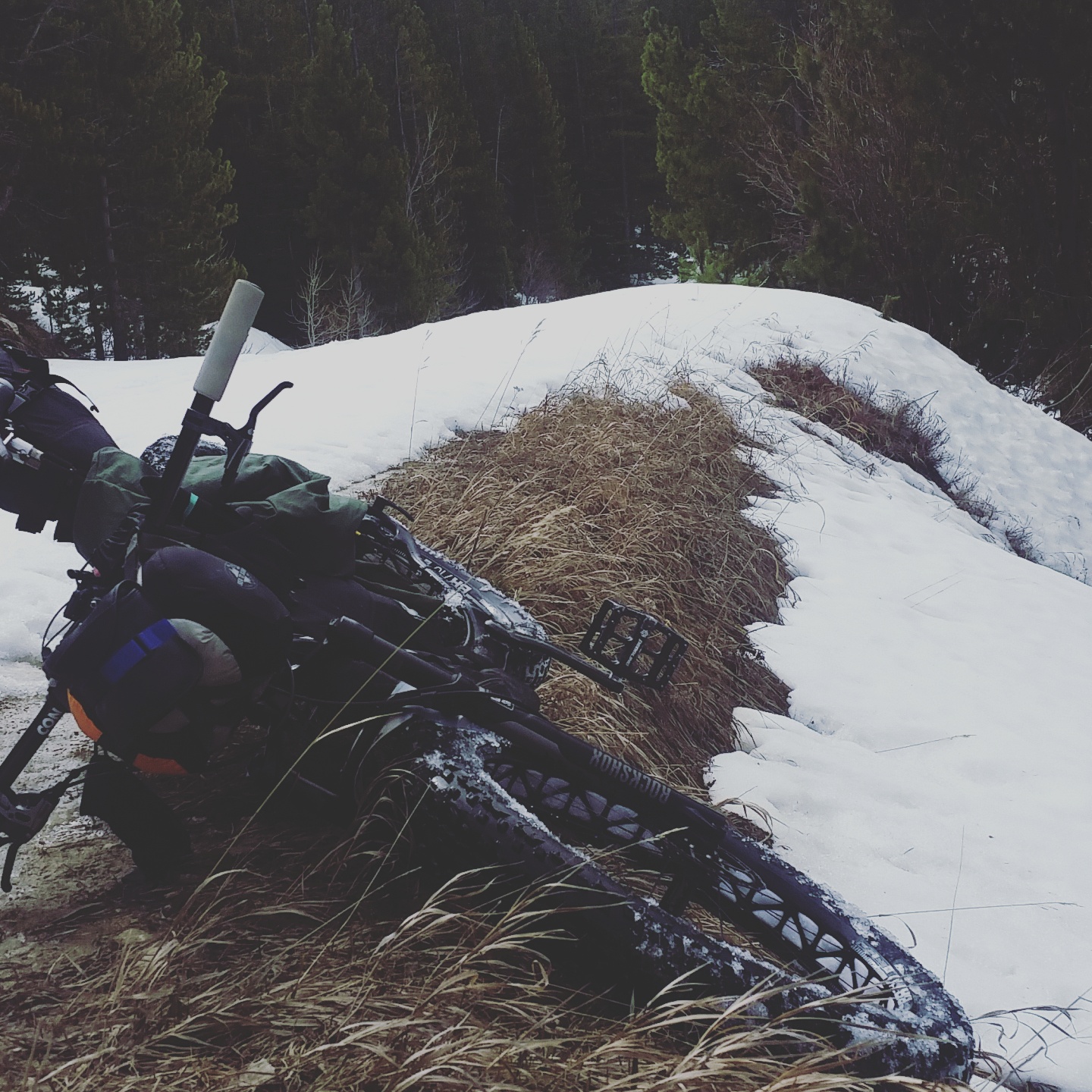 IMG_20170507_101759_018