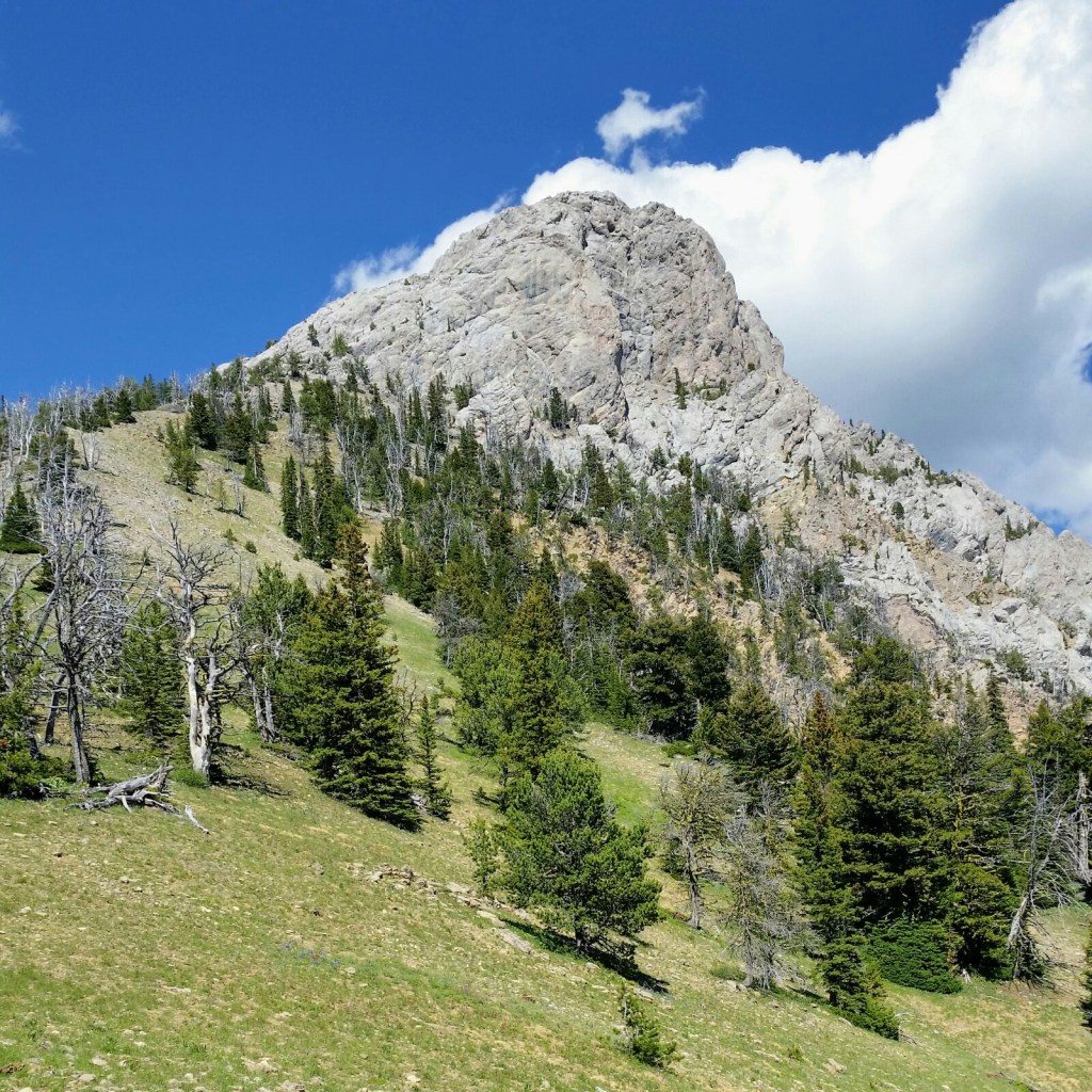 The future is&nbsp;adventure