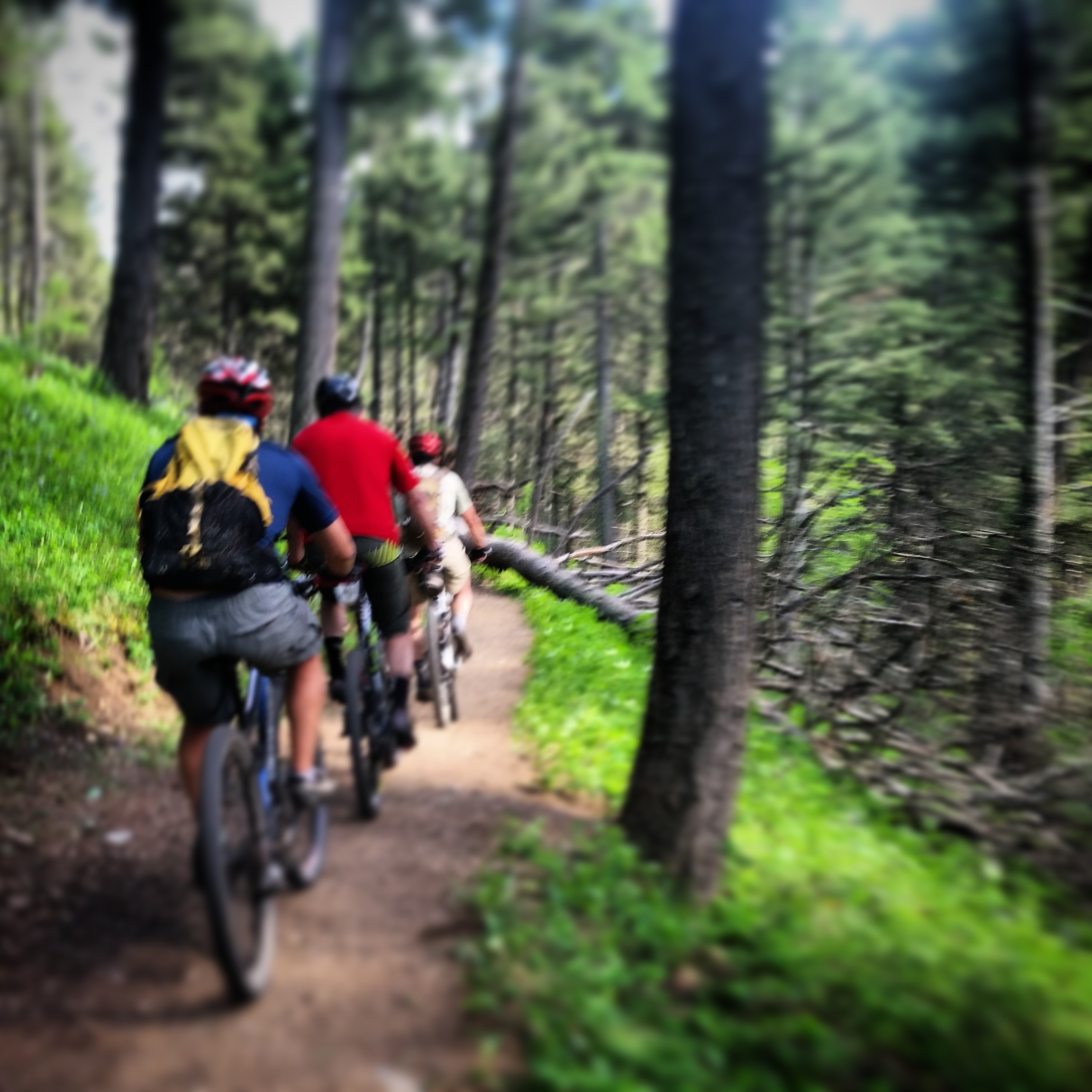 Wednesday Night Ride