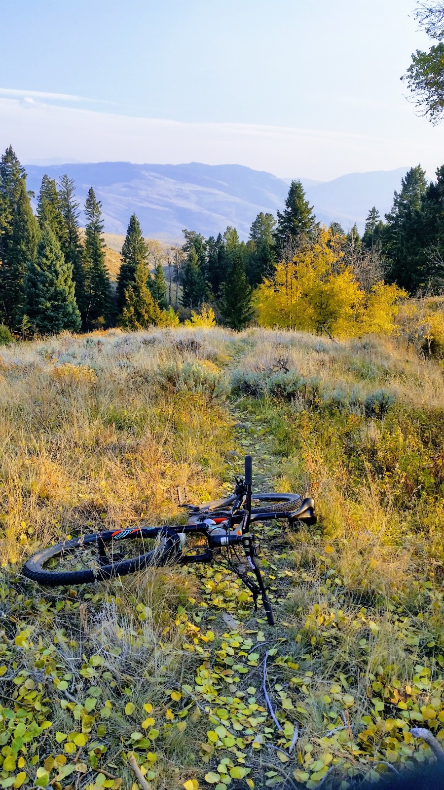 Gardiner Montana Trails