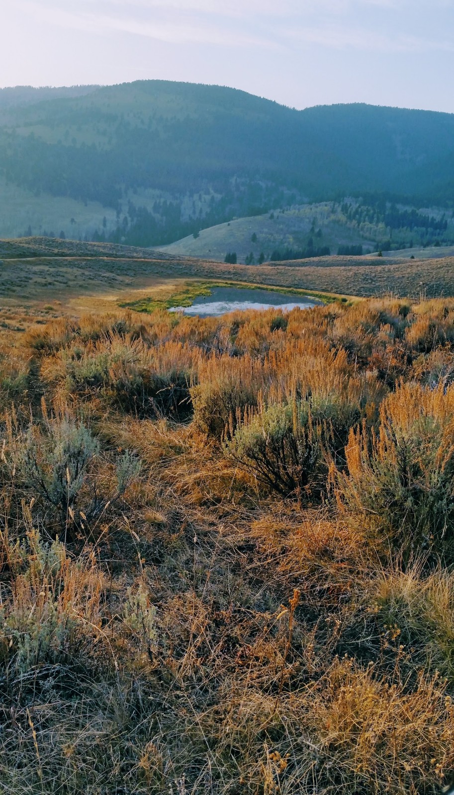 Gardiner Montana Trails