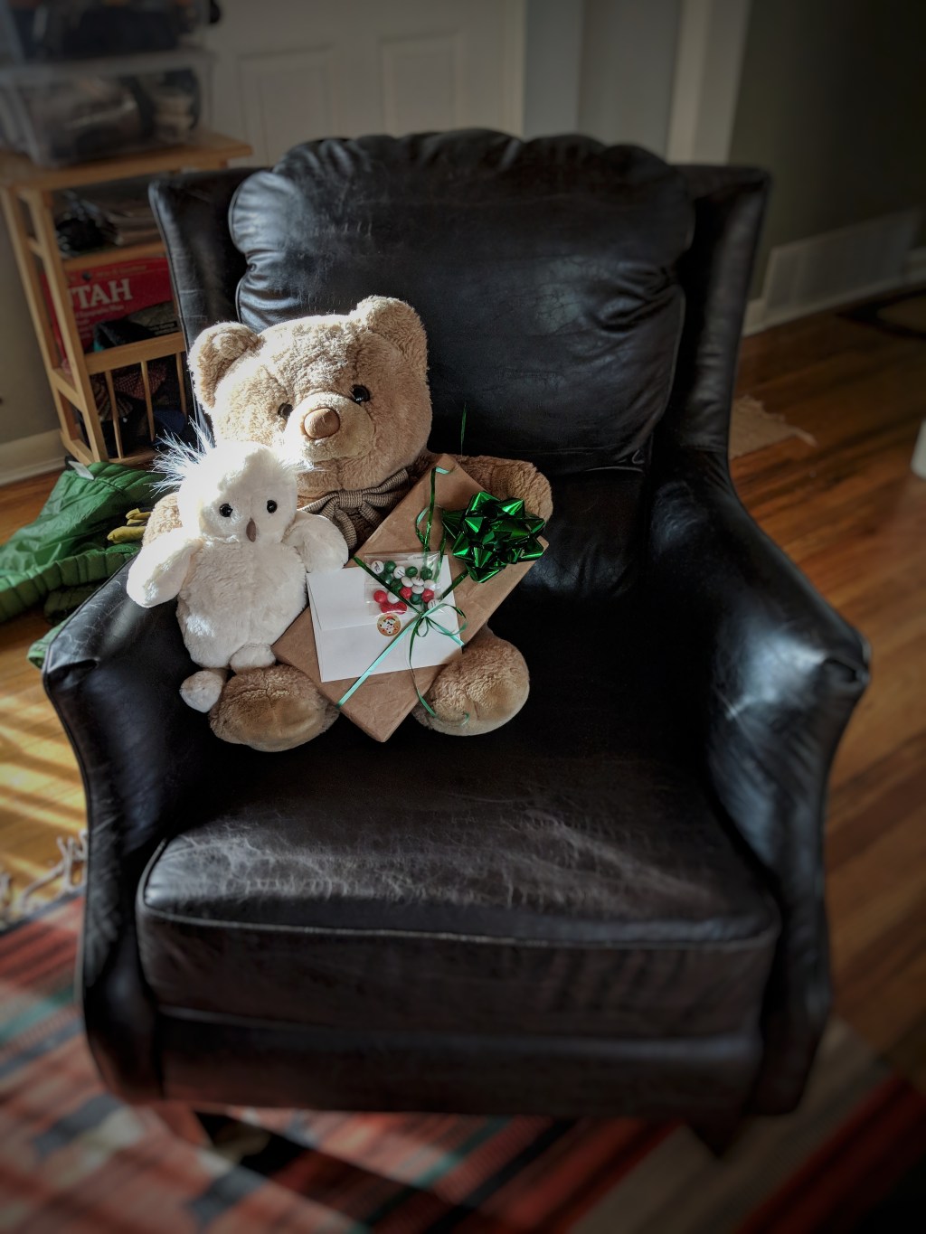 In the Heart of the&nbsp;Forest