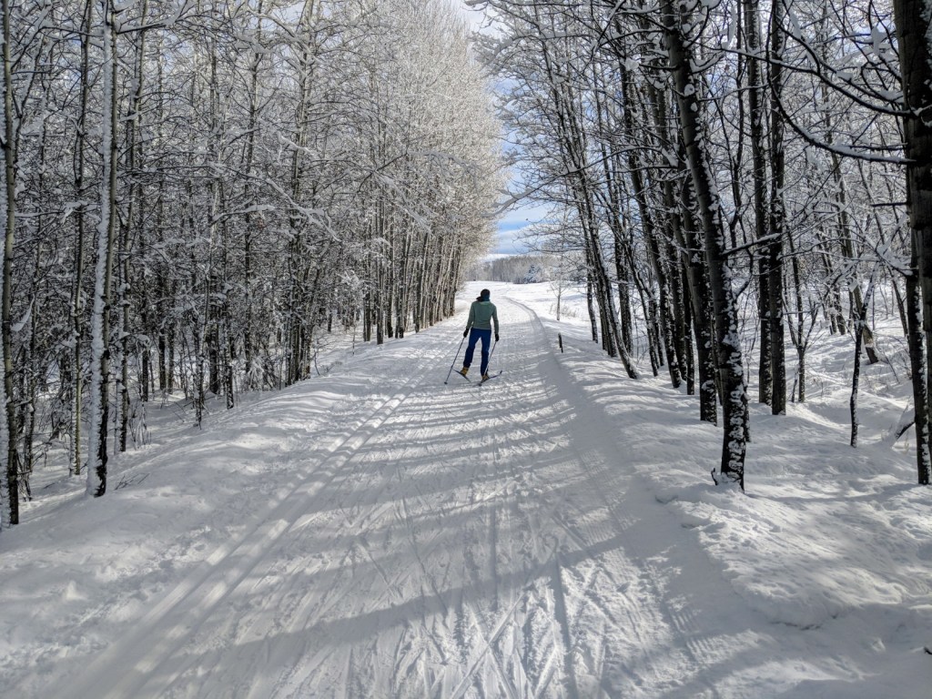 Winter Role Reversal