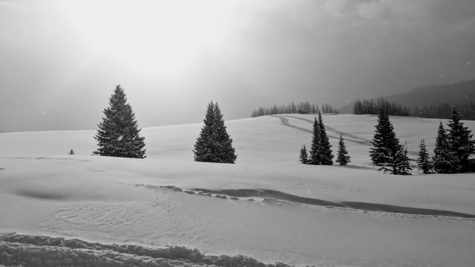 2018 Togwotee Winter Classic