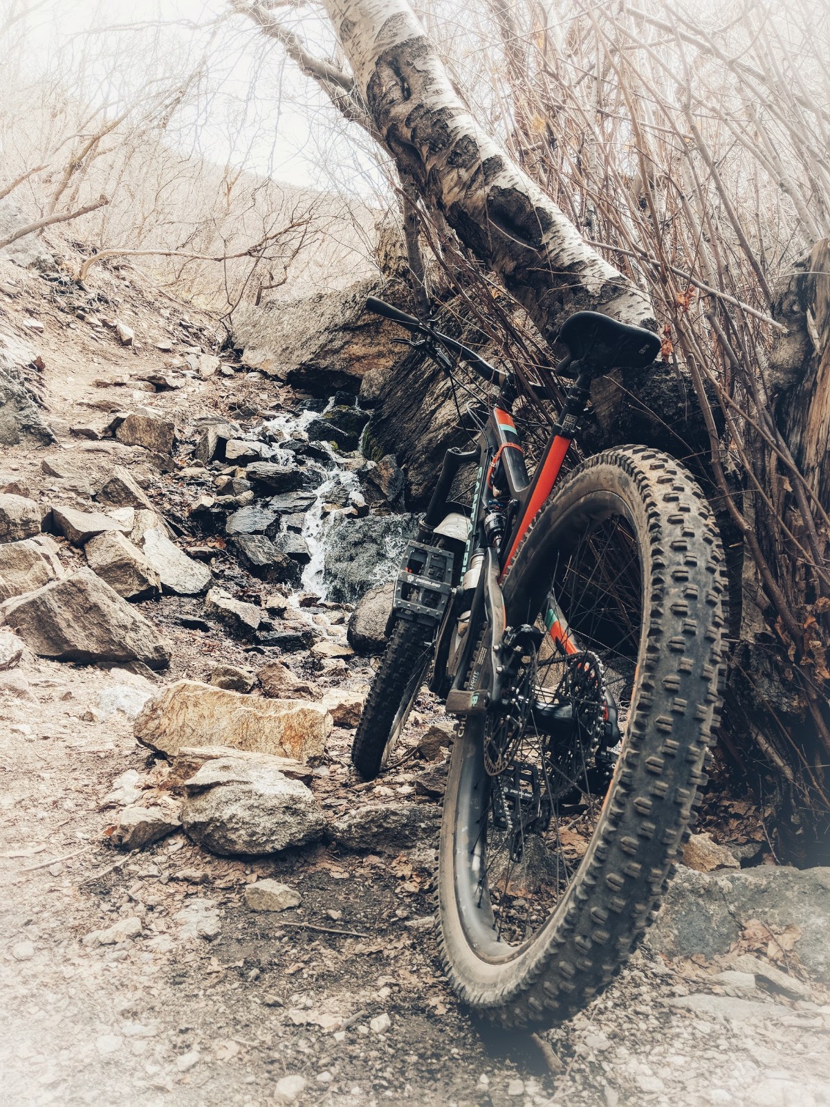 Ogden Enduro