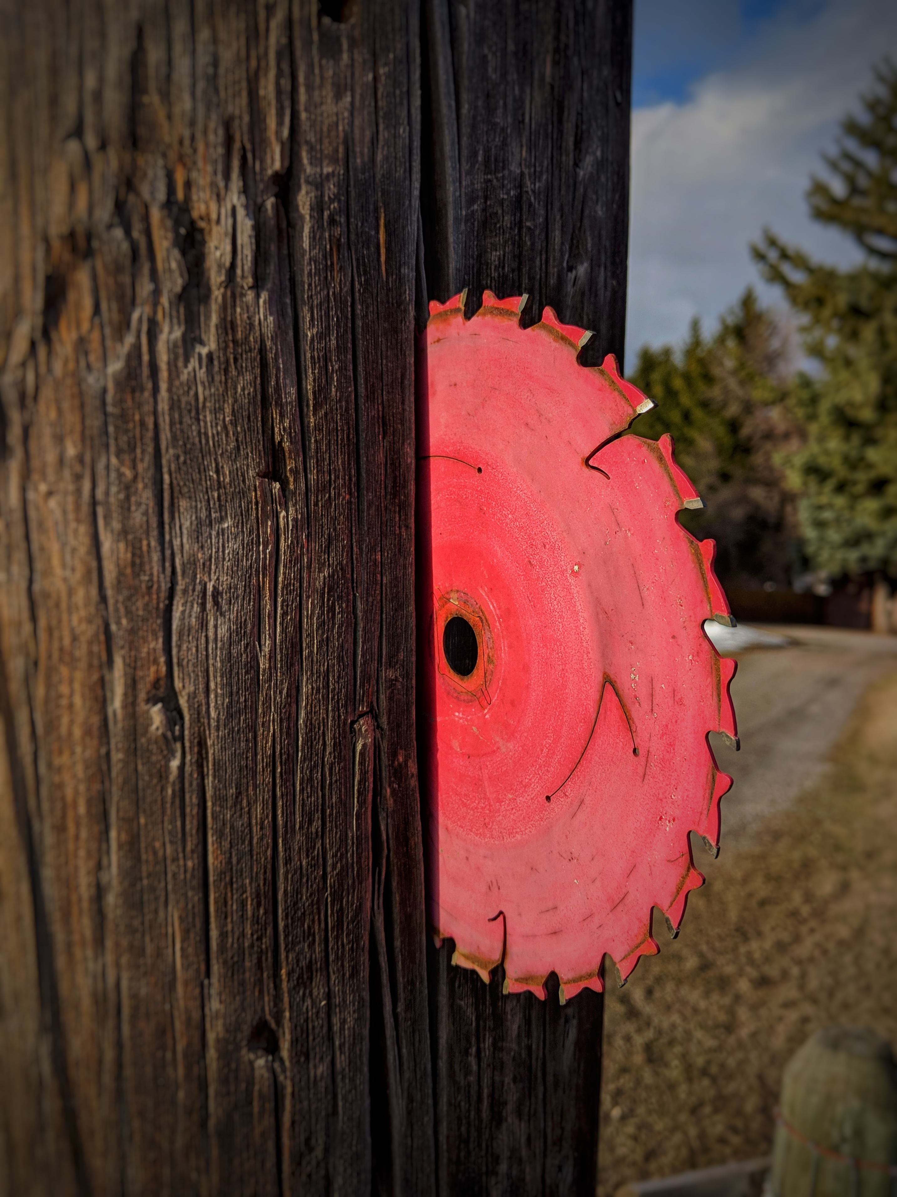 Last morning in Bozeman