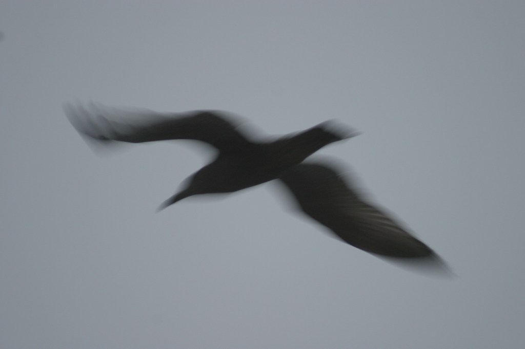 Looking Back and Moving On