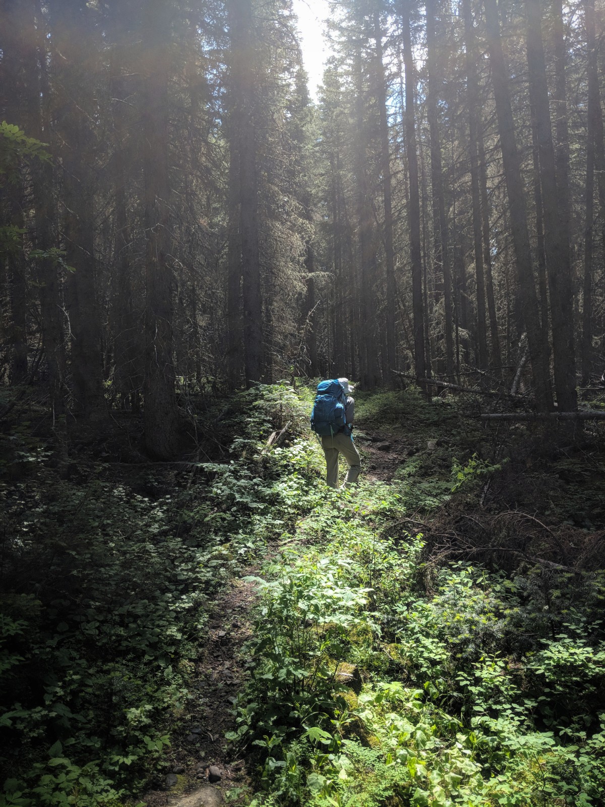 West Boulder Plateau Day 2