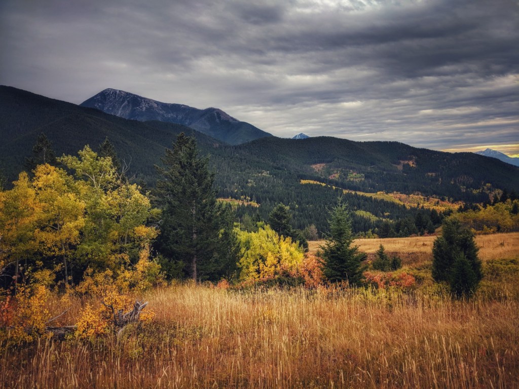 Fall Foliage on Suce Creek