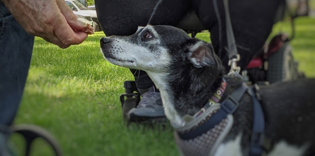 Introvert Exceptions