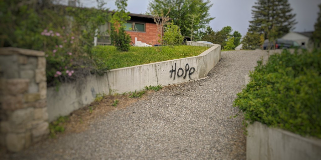 Observations Around Town