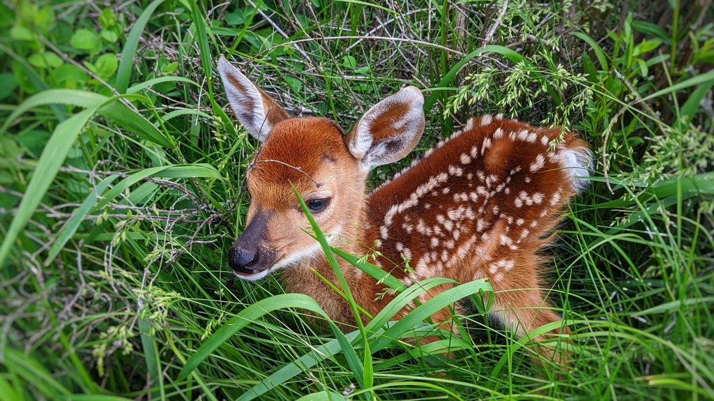 Items I Must&nbsp;Preserve