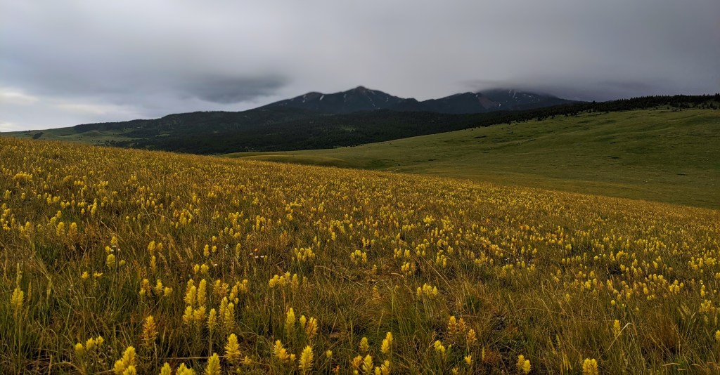 Getting Things Dialed