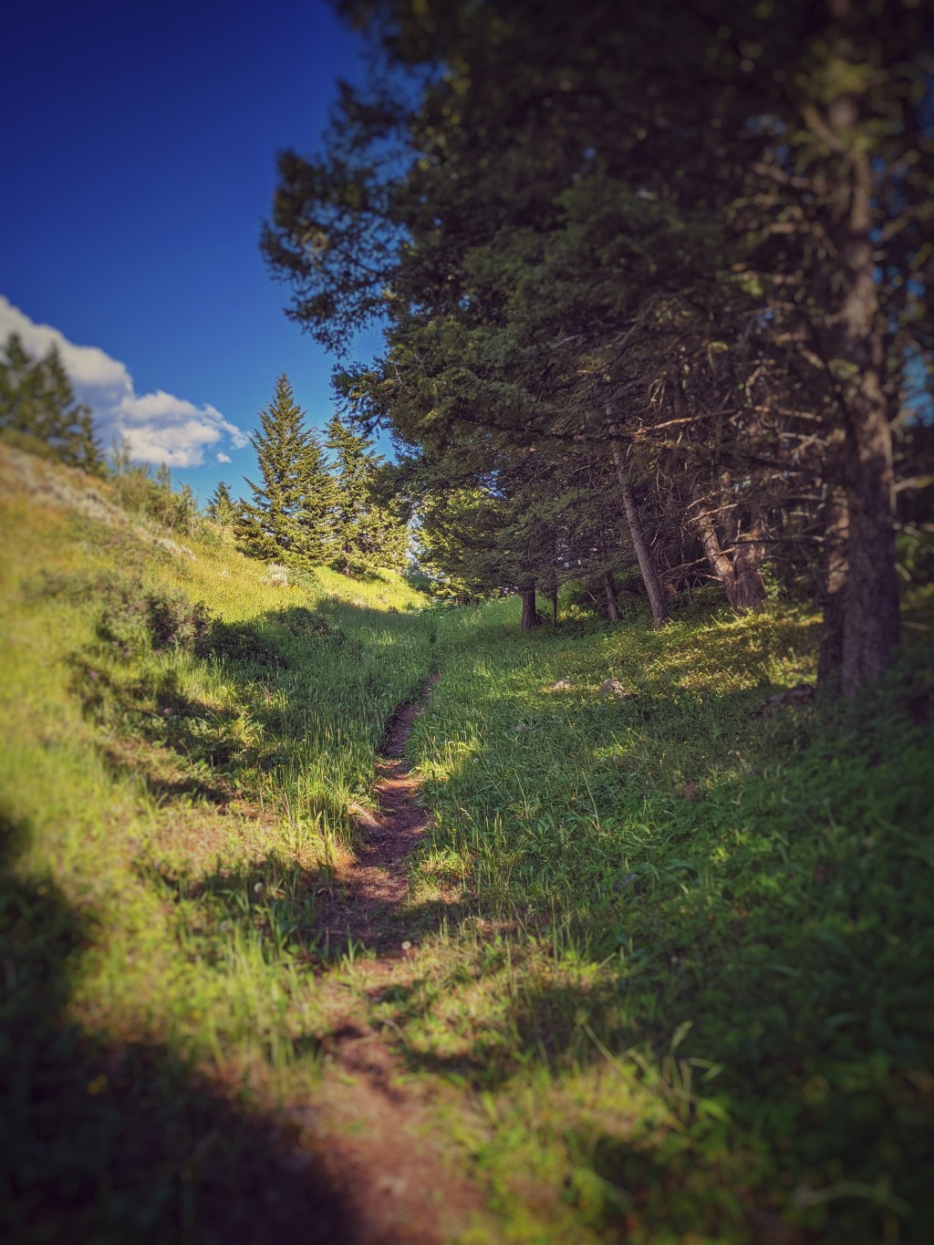 Bleeding Out The&nbsp;Eyes