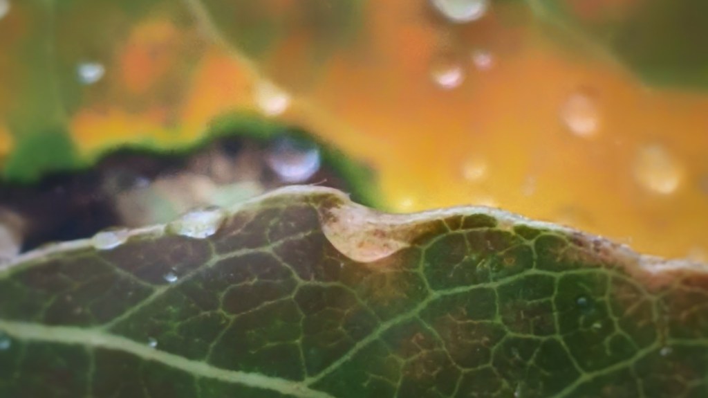 This One Is&nbsp;Bad