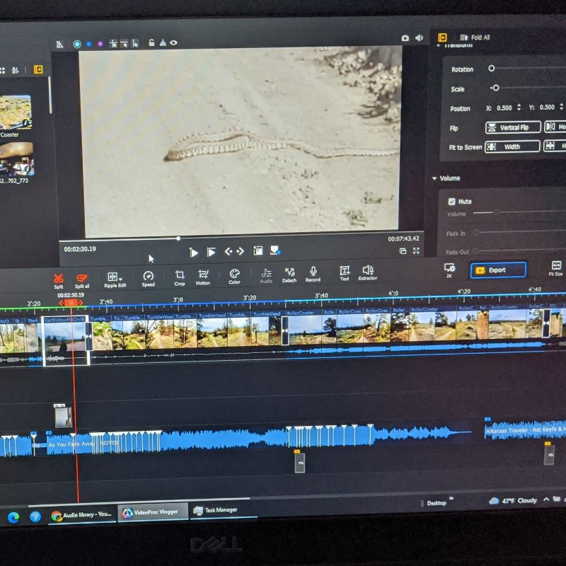 Memorial Day Weekend&nbsp;2022