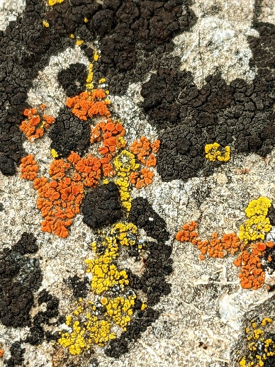 Springtime @ Lewis and Clark&nbsp;Caverns