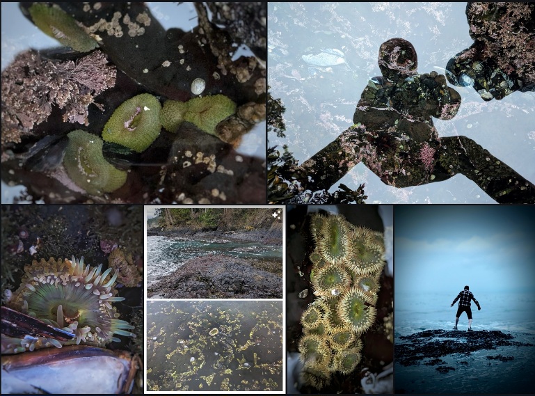 Salt Creek Chronicles the&nbsp;Video