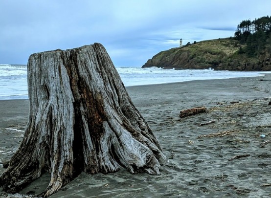 Cape Delights and Winter&nbsp;Nights