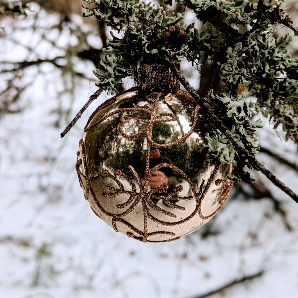 Outdoors and Quirky Finds: A Winter&nbsp;Story